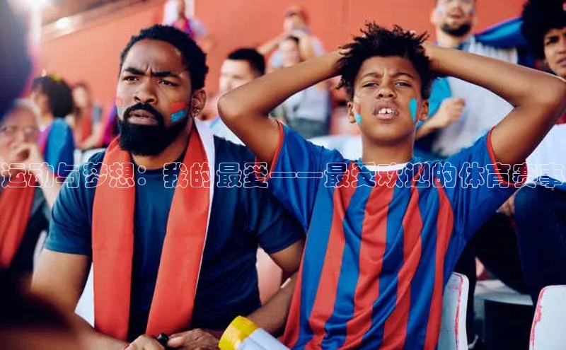 运动与梦想：我的最爱——最受欢迎的体育赛事