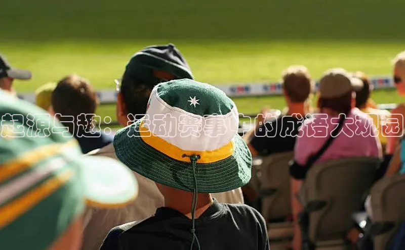 起源与趣：运动赛事中的成语大观园