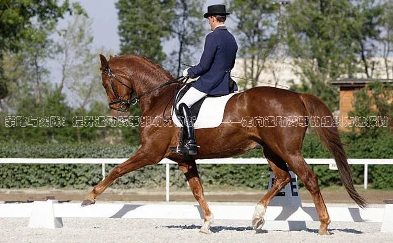 策略与实践：提升运动赛事影响力的新视角——定向运动赛事的组织方法探讨
