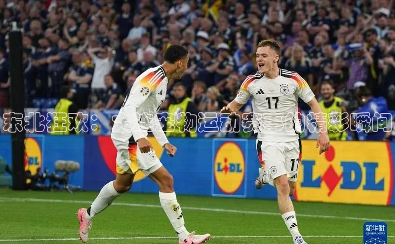 东北狂欢：大连宠物运动赛事的精彩瞬间