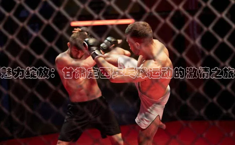 魅力绽放：甘肃定西乒乓球运动的激情之旅