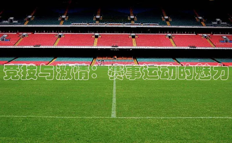 竞技与激情：赛事运动的魅力