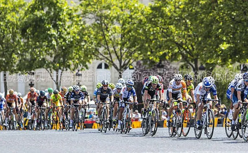 比赛规则与裁判指南：运动赛事手册的核心内容