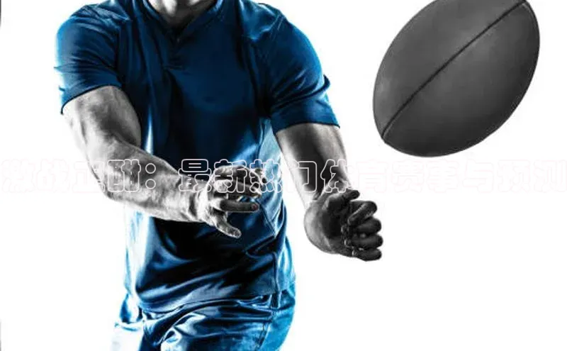 k1体育登录入口网页版