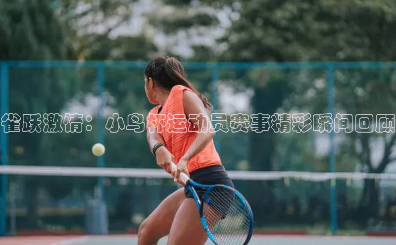 k1体育十年登录入口官方