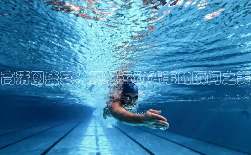 k1体育官网登录入口网址